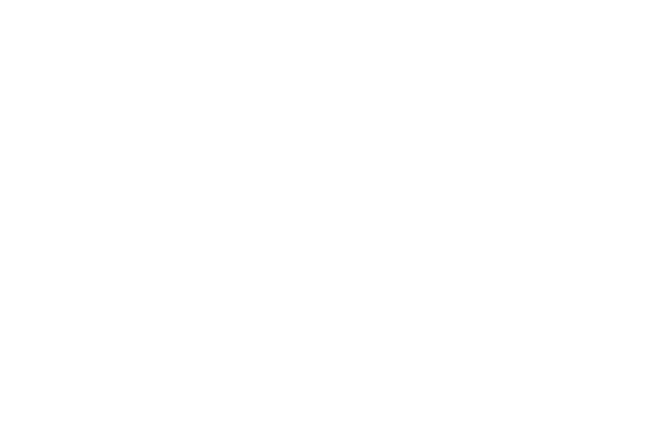 Next Travel Stream